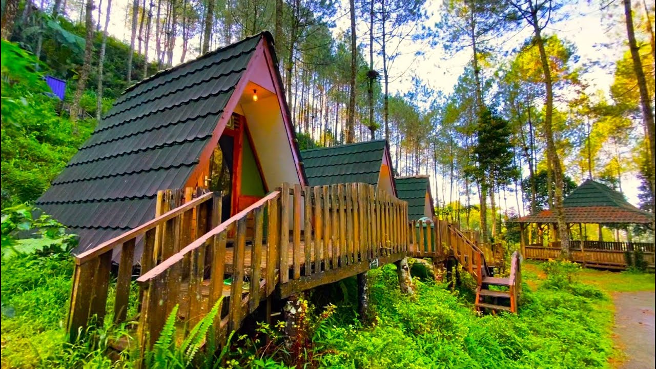 Telomoyo Nature Park: Petualangan Alam di Lereng Gunung Merapi